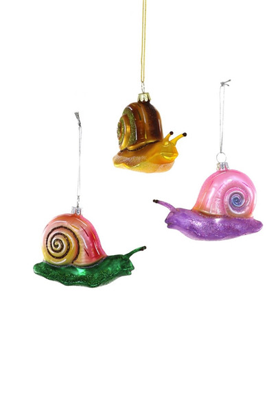 FERN SNAIL - GO-9671