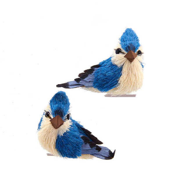 BLUE JAY WITH CLIP - C7877