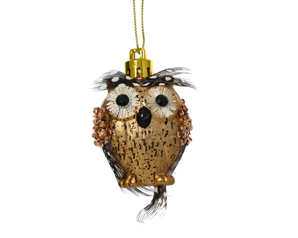 OWL - 537379