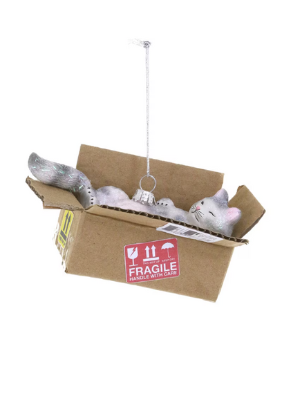 BEST CAT TOY IS A BOX ORNAMENT - GL-1208