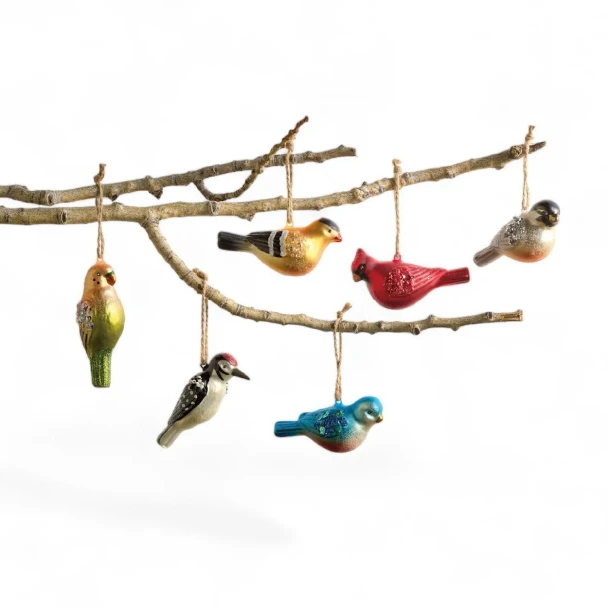 BIRD BOXED SET OF 6 ORNAMENTS - CG0500