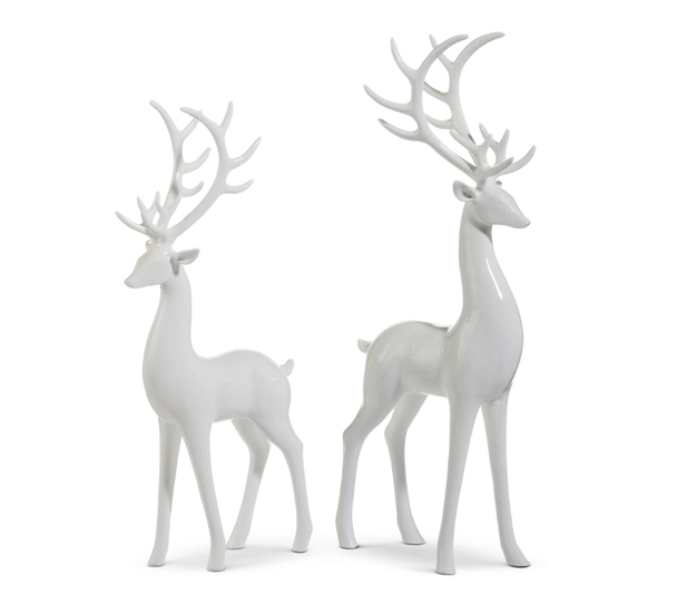 HIGH SHINE WHITE DEER - 4512217