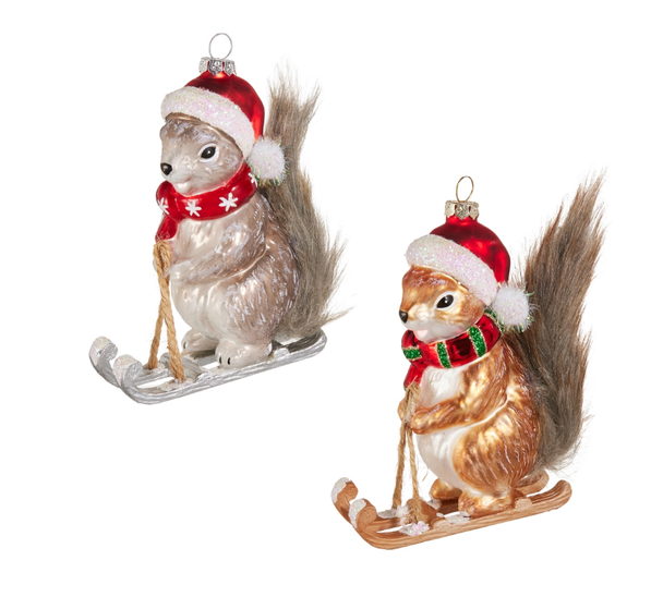 SKIING SQUIRREL - 4619164