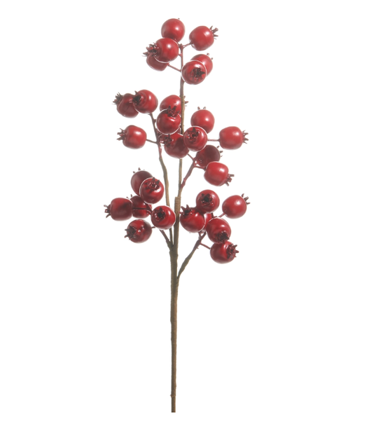 MATTE RED BERRY POD SPRAY - F4506755