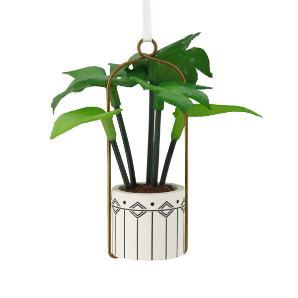 HANGING PLANT - 1HGO3495