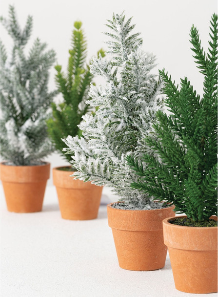 MINI POTTED TREES