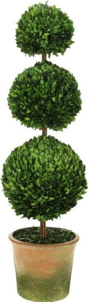 TRIPLE BALL BOXWOOD TOPIARY 42IN - 10-00914