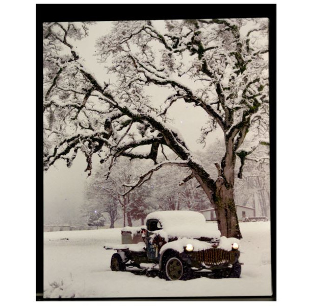 SNOW COVERED TRUCK UNDER TREE - OSW176515