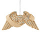 BEREAVEMENT ANGEL WINGS ORN - 6009571