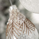 ICY GOLDEN PINE ORNAMENT - OR10568