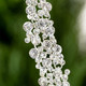 ICICLE GEM ORNAMENT - OR10659