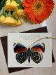 NUMBERWING BUTTERFLY ORNAMENT AND NOTECARD - HB-005