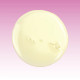 8OZ WILDFLOWER HONEY BATH AND SHOWER GEL - NBSG8-WH