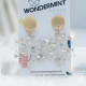 WINTER SNOWFLAKE EARRINGS - HOLOTEXTSNOW