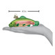 RAINBOW TROUT - 12096