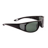 Polarized Sunglasses - Style #35421 Gloss Black Green Smoke