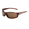 Polarized Sunglasses XS603 Transparent Brown Frame w/Gold Accents