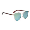 Retro Fashion Sunglasses - Style #8261 Brown/Revo