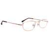 Wholesale Readers - R9103 Spring Hinge Temples Gold