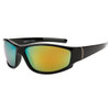 Polarized Xsportz™ Wholesale Sunglasses  - Style XS7049 Black/Gold