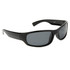 #9518 Polarized Sunglasses Gloss Black Frame Color