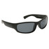 #9518 Polarized Sunglasses Matte Black Frame Color