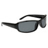 #9418 Polarized Sports Sunglasses Gloss Black Frame Color