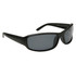 #9418 Polarized Sports Sunglasses Matte Black Frame Color