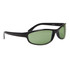 Cheap Wholesale Sunglasses 18908 Gloss Black Green Smoked