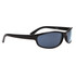 Cheap Wholesale Sunglasses 18908 Gloss Black Smoked
