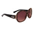 Stylish Fashion Sunglasses Wholesale DE85 Black & Transparent Brown Frame