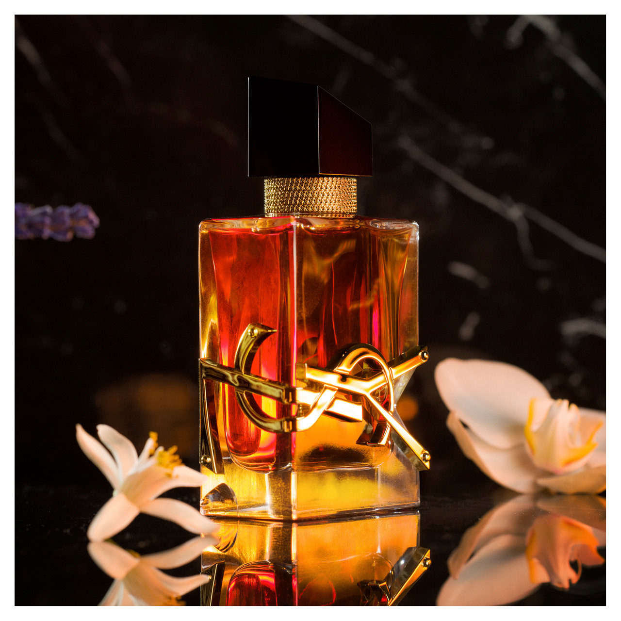 国内正規品　Libre ✨Eau de parfum Intense 50ml Yves Saint Laurent Libre Intense Eau de Parfum – Escentual