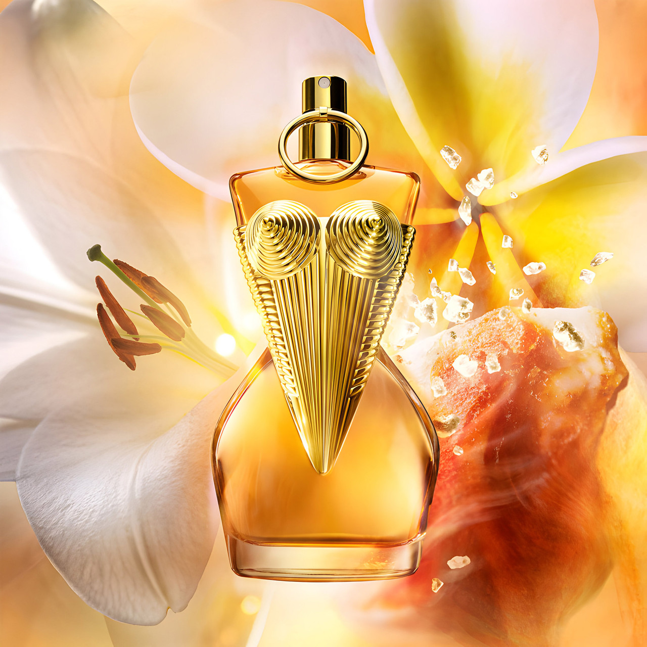 Divine Jean Paul Gaultier Duftzwilling Jean Paul Gaultier Le Male