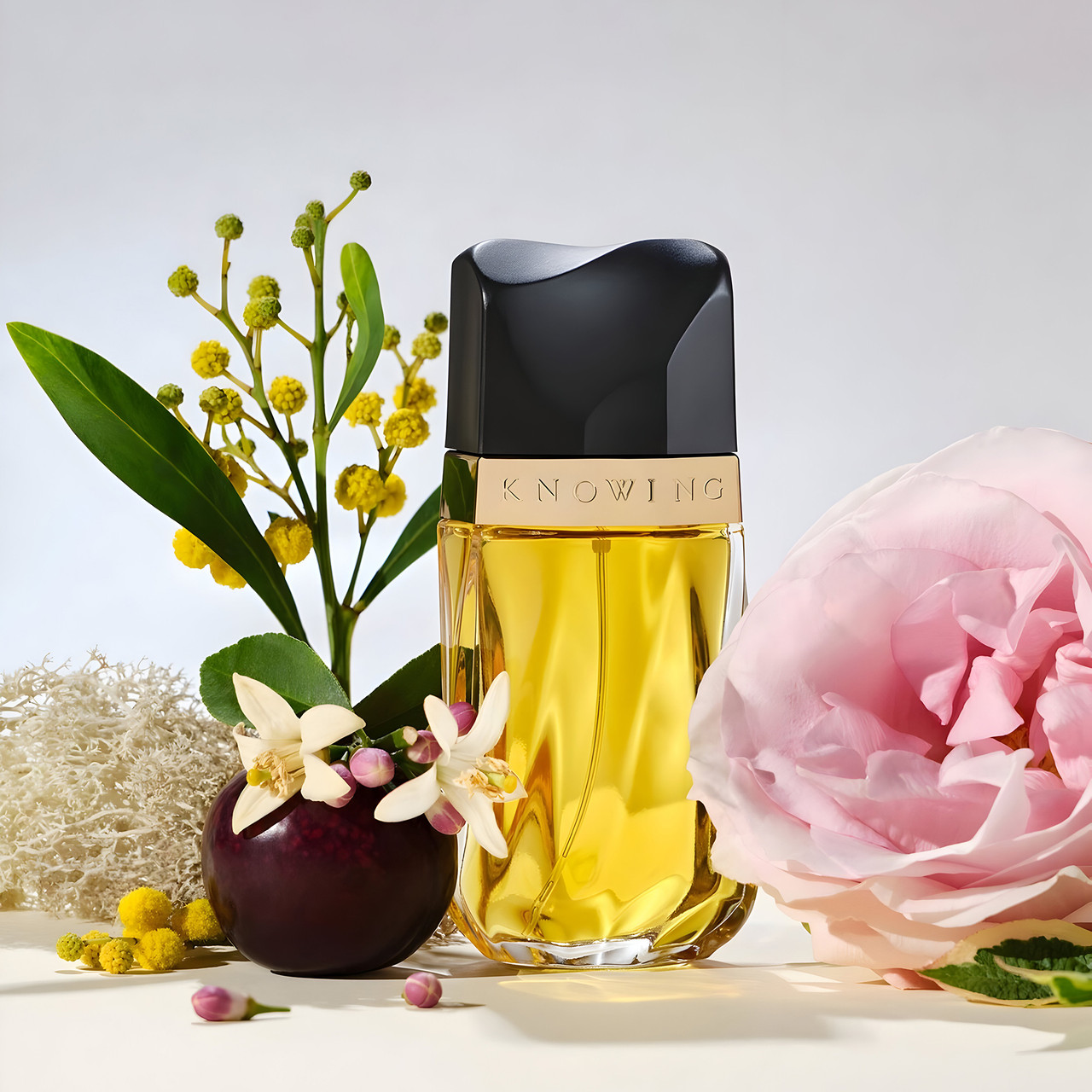 Knowing 75ml EDP By Estee Lauder (Womens)