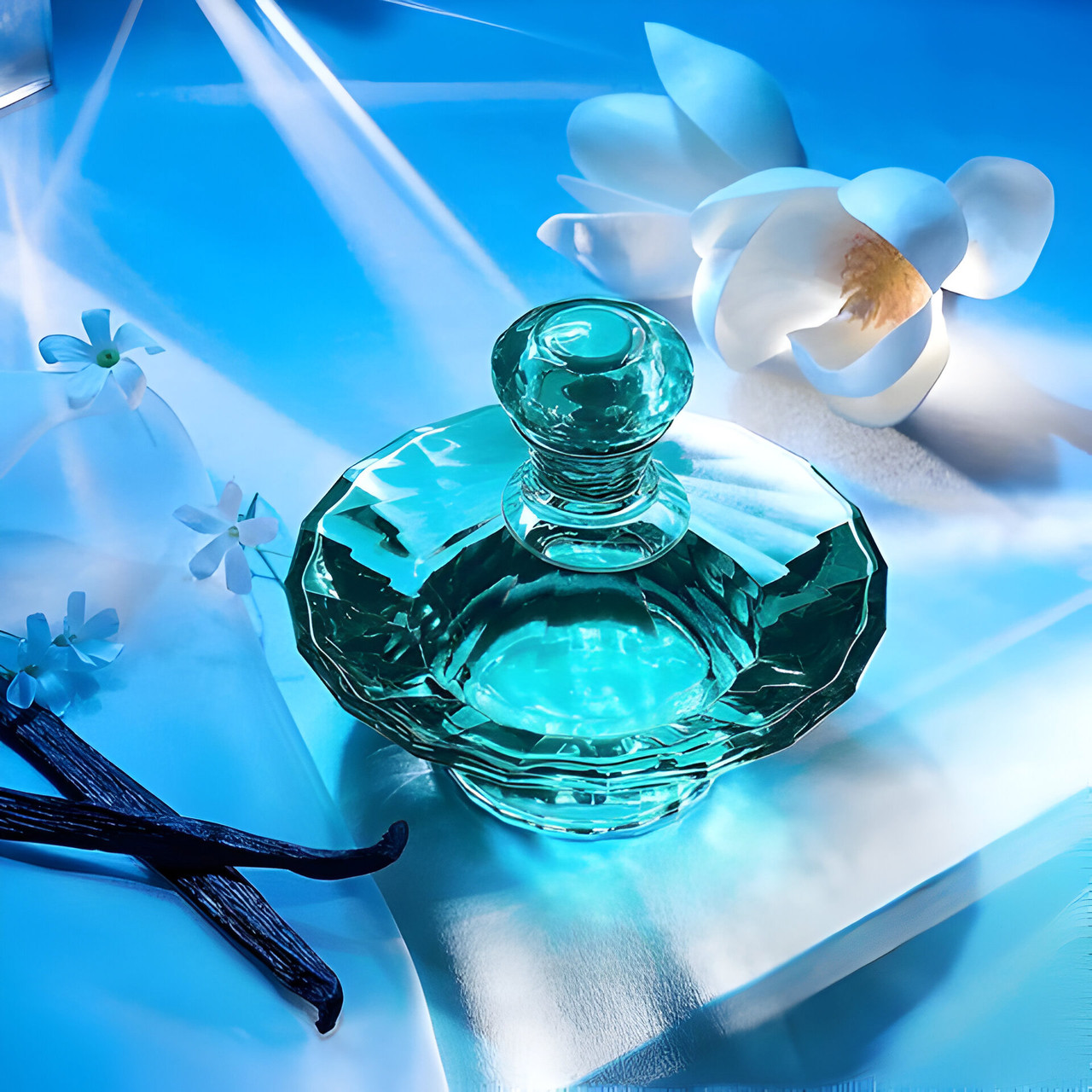 Curious 100ml EDP By Britney Spears (Womens)