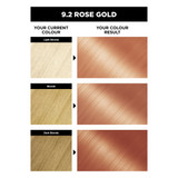 Garnier Olia Bold Permanent Hair Colour - 9.2 Rose Gold (Ammonia Free, Oil Based)