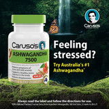 Caruso's Ashwagandha 7500