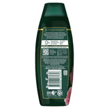 Palmolive Luminous Oils Hair Conditioner, Northern Rivers Macadamia, Argan & Camellia, 350mL, Strengthen and Protect Palmolive Luminous Oils Hair Conditioner, Northern Rivers Macadamia, Argan & Camellia, 350mL, Strengthen and Protect