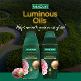 Palmolive Luminous Oils Hair Shampoo, Northern Rivers Macadamia, Argan Oil & Camellia, 350mL, Strengthen and Protect