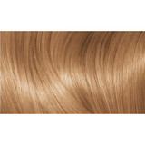 L'Oréal Paris Excellence Crème Permanent Hair Colour - 7.3 Dark Golden Blonde