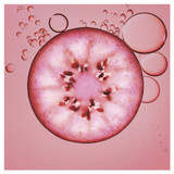 Garnier Fructis Colour Last Conditioner 315ml to Protect Coloured Hair