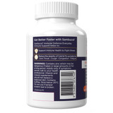 Sambucol Black Elderberry Immune Defence Everyday Capsules 60s