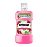 Listerine Berry Mint Antibacterial Mouthwash Zero Alcohol Mild Taste Oral Care Rinse 500ml
