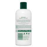 DermaVeen Hair + Scalp Soothing Oatmeal Shampoo 250mL