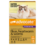 Advocate™ Fleas, Heartworm & Worms for Cats Over 4kg - 6 Pack