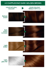 NUTRISSE CAPPUCCINO 4.3