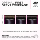 L'Oréal Paris Casting Crème Gloss Semi-Permanent Hair Colour - 210 Blue Black (Ammonia Free)