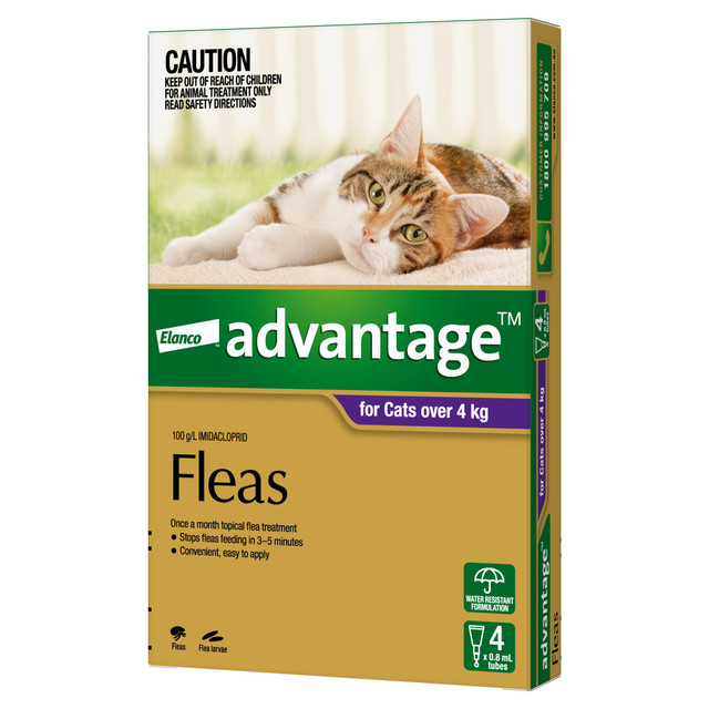 Advantage™ Fleas for Cats Over 4kg - 4 Pack Advantage™ Fleas for Cats Over 4kg - 4 Pack