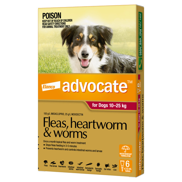 Advocate™ Fleas, Heartworm & Worms for Large Dogs 10 - 25kg - 6 Pack