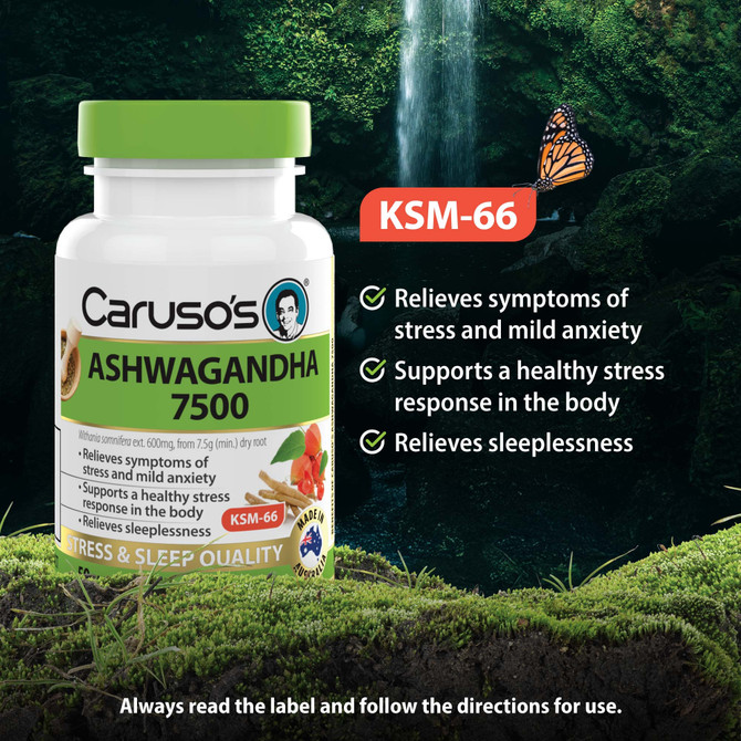 Caruso's Ashwagandha 7500